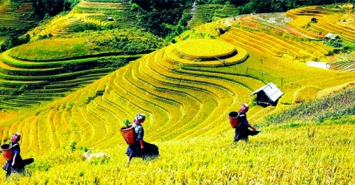 - Impression du pays et de l’homme du Vietnam